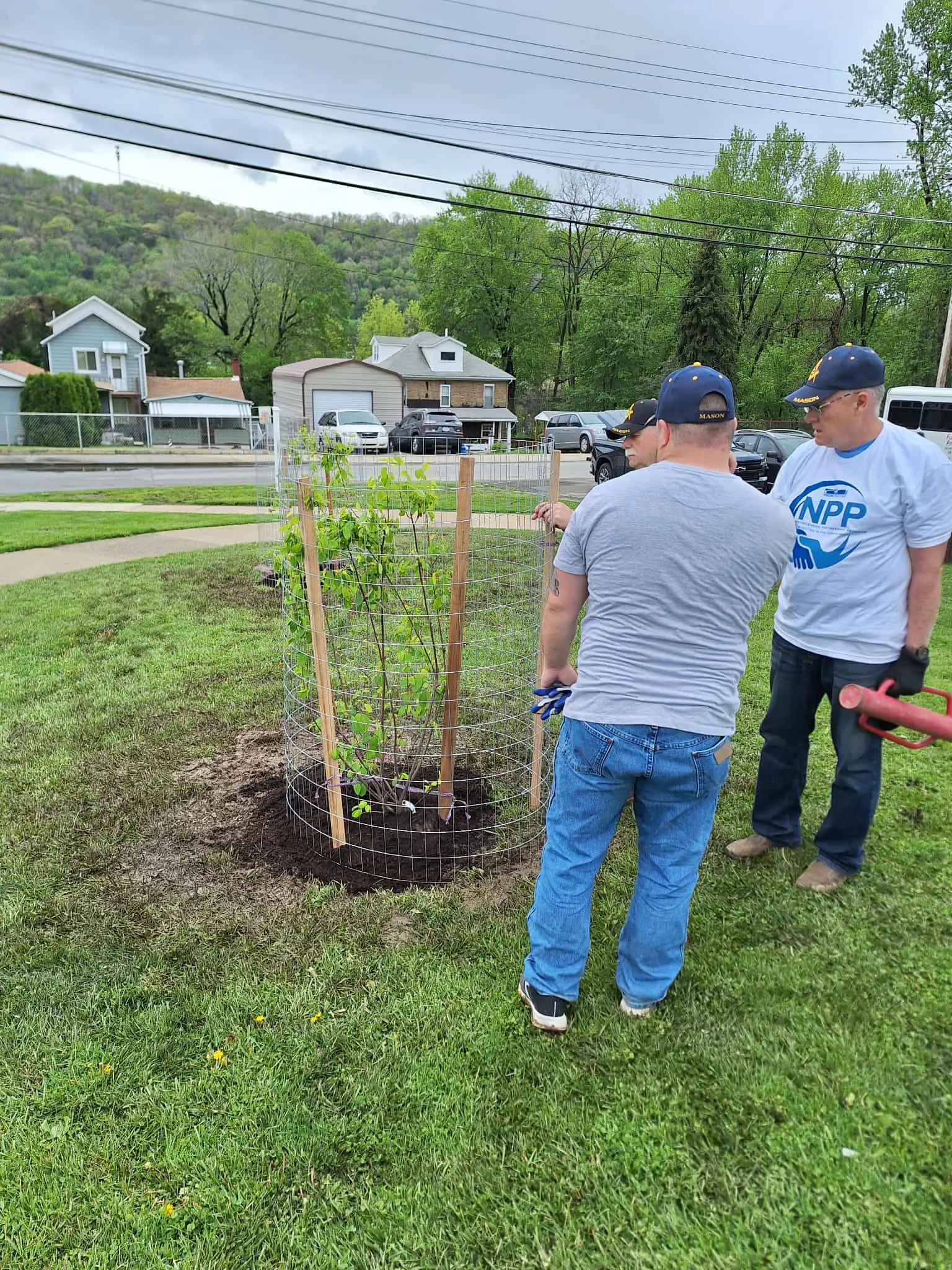 Messenger_creation_669E1BD7-A445-4FAF-935D-0FE2D42626F7 Group of men securing fencing around newly planted tree.