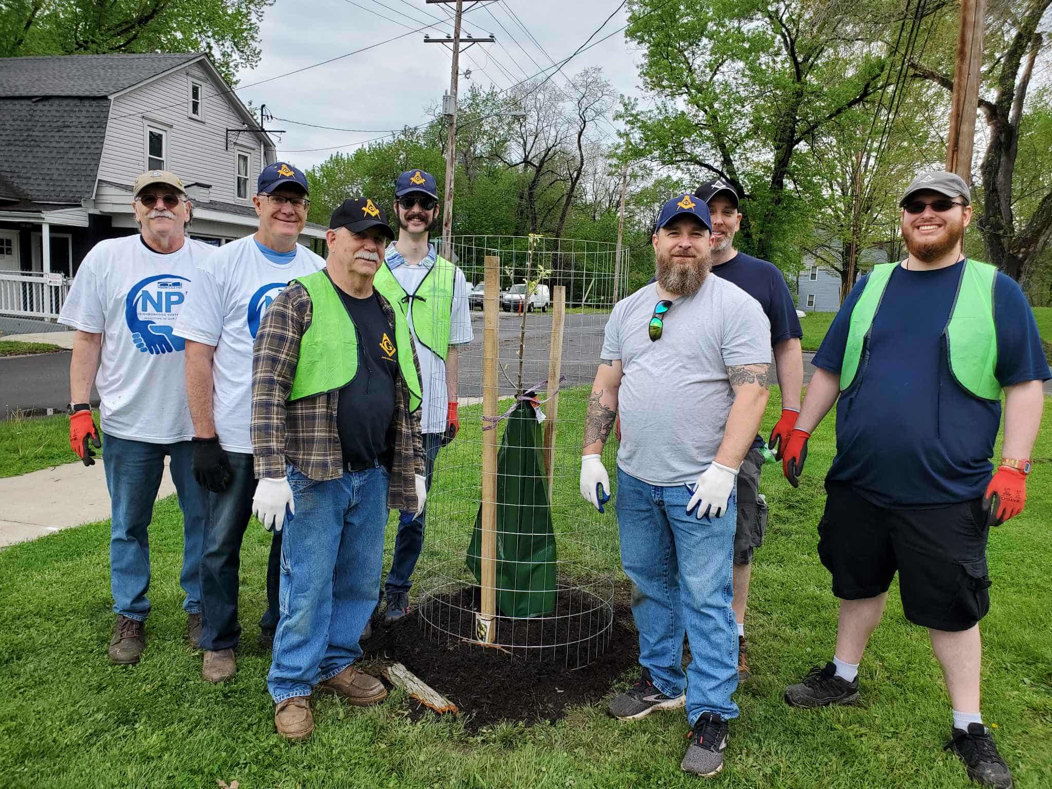 Men standing around newly planted tree