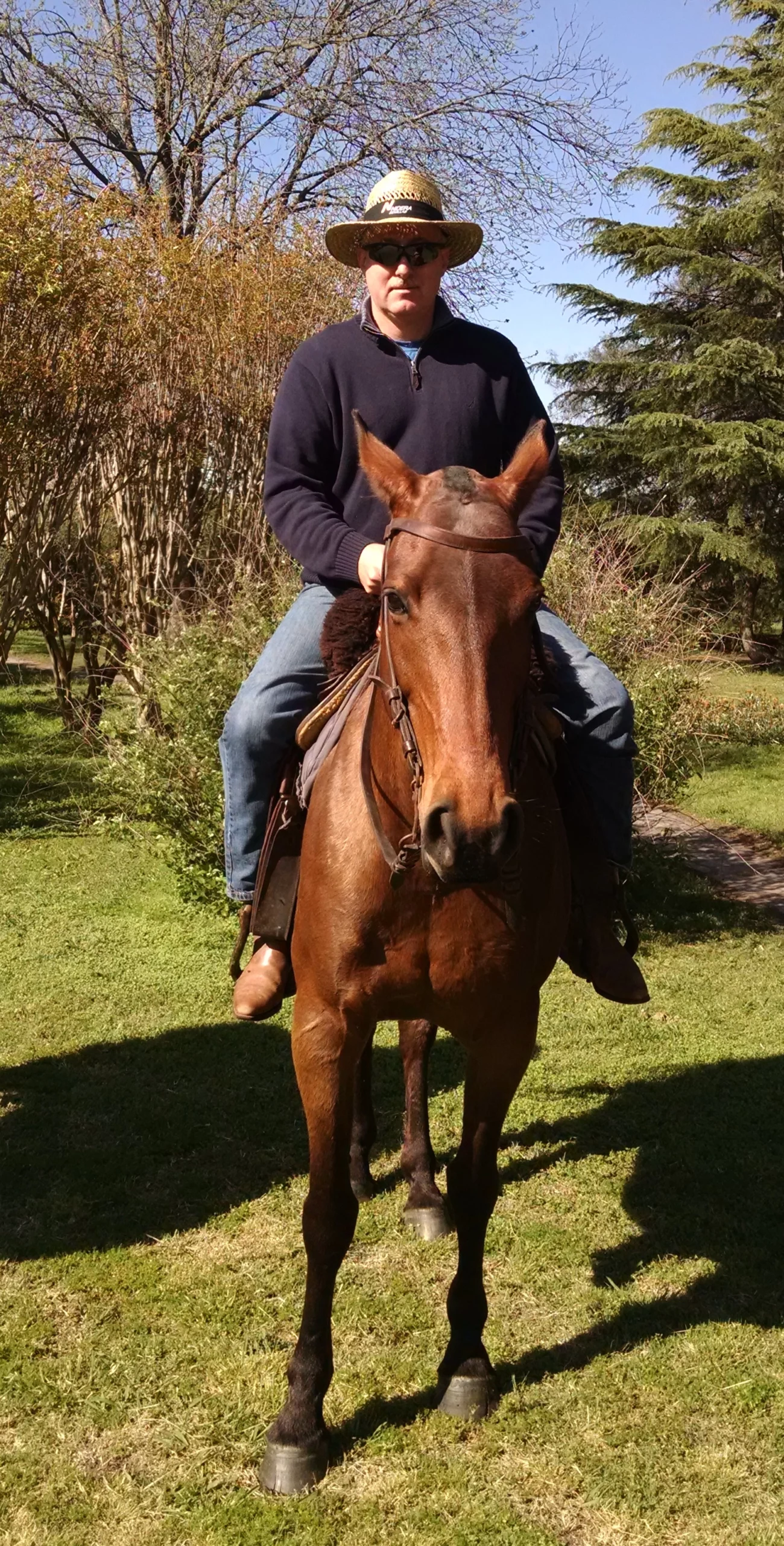 Man in a hat and sunglasses riding a brown horse.