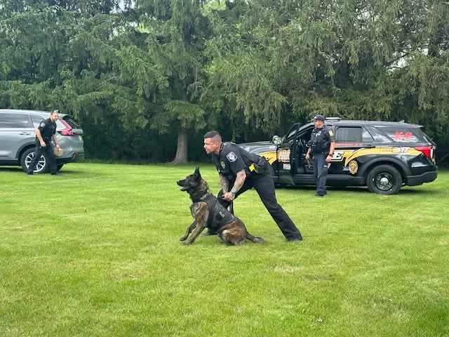 Vaux Police K9 Police officer working with his dog outdoors.